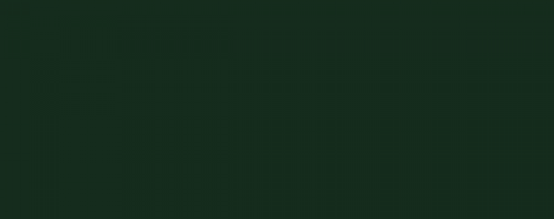 Porcelaine 150 - 45 ml 28 Bronze green - Image 2